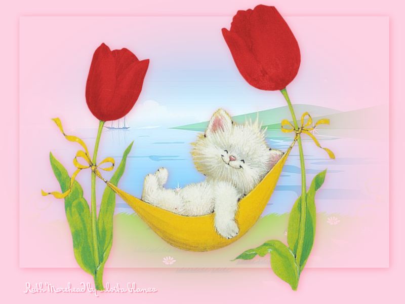 sana sana colita de rana