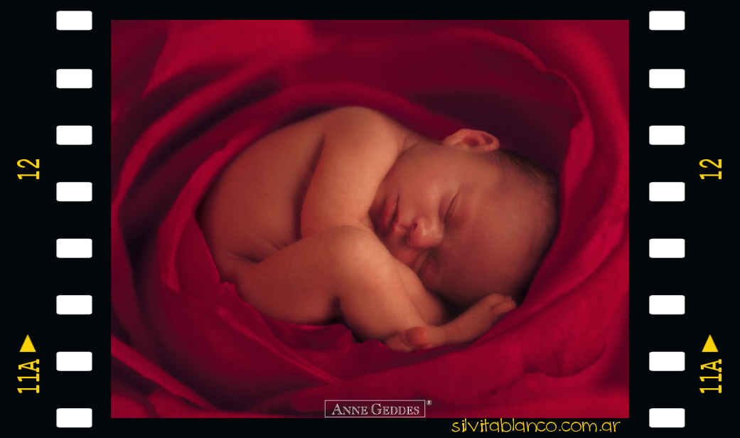 Baby einstein M�sica Estimulaci�n Temprana para Embarazadas Beb�s