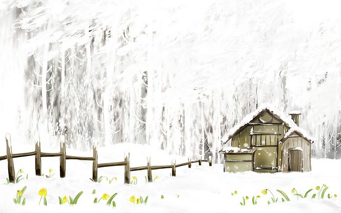 snow8