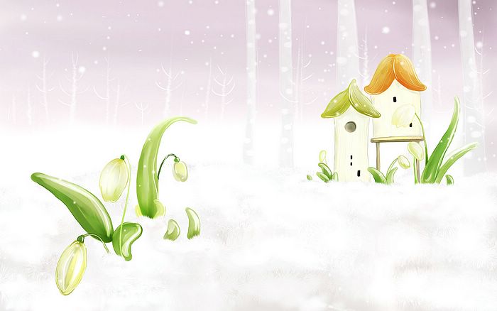 snow12