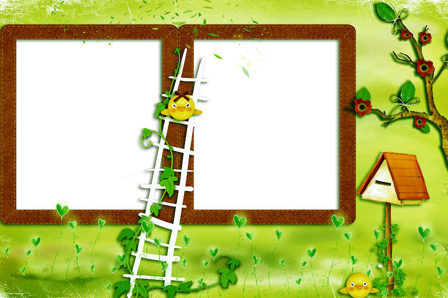 Marcos para dise�o