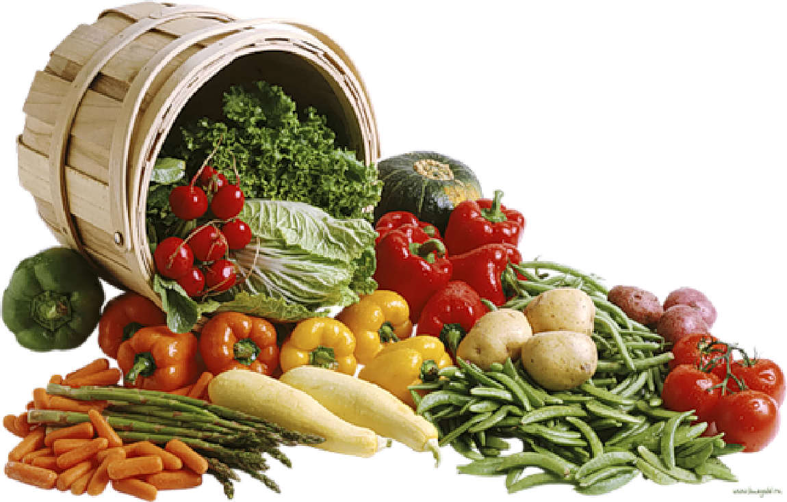 verduras, hortalizas