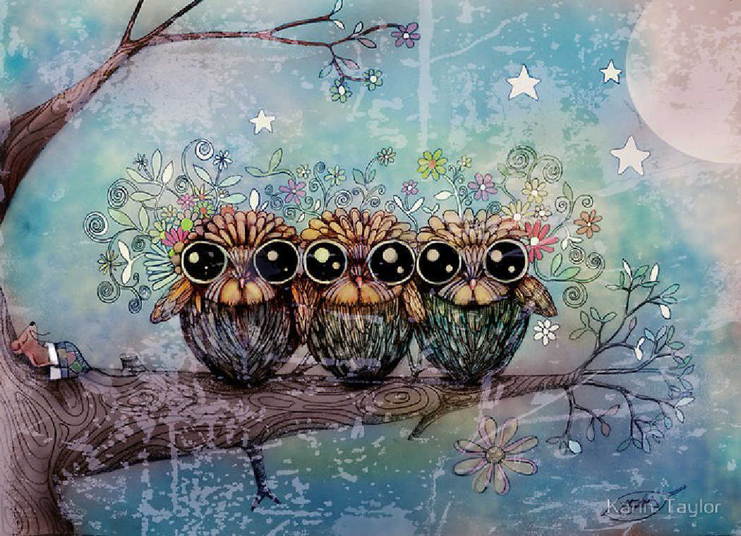 Karin Taylor Ilustradora Infantil