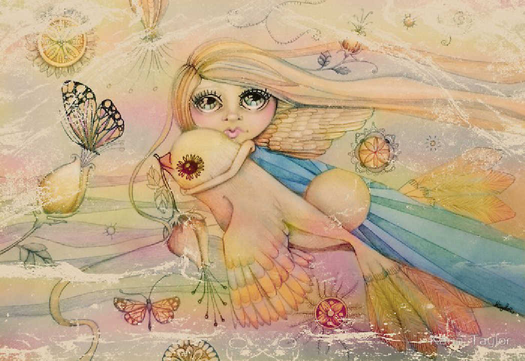 Karin Taylor Ilustradora Infantil