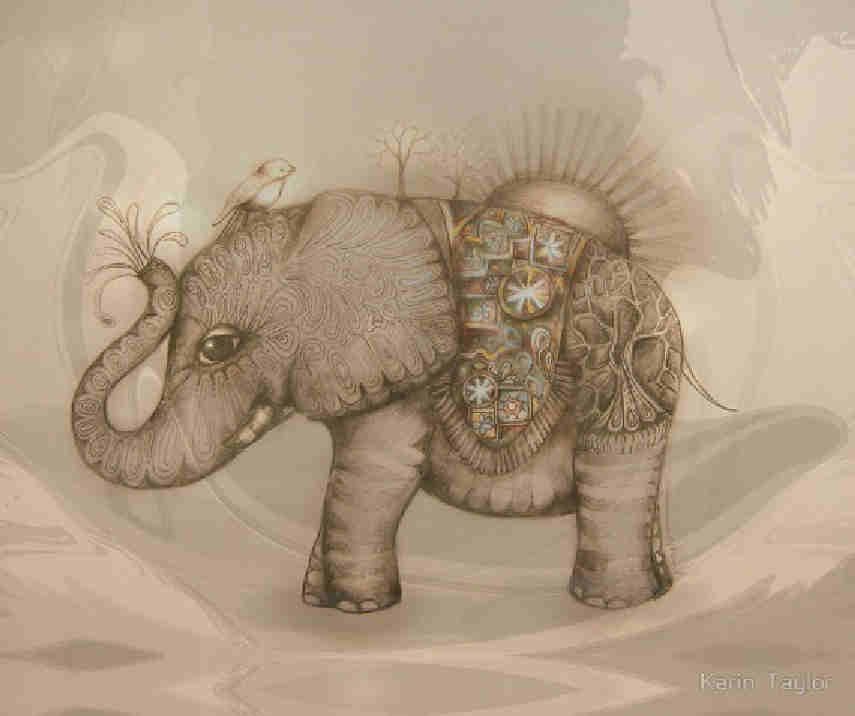 Karin Taylor Ilustradora Infantil