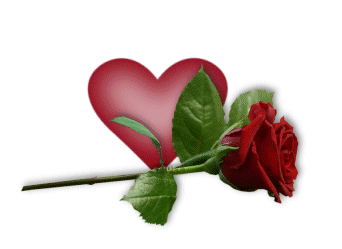 http://www.silvitablanco.com.ar/la_casita_de_molly_1/Heartbeat-rose-blank_molly.gif