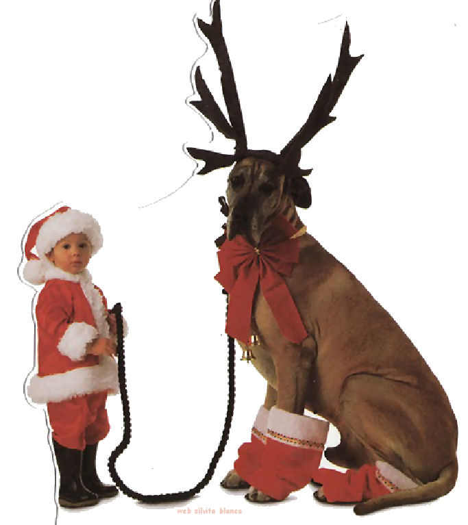 beb� en navidad