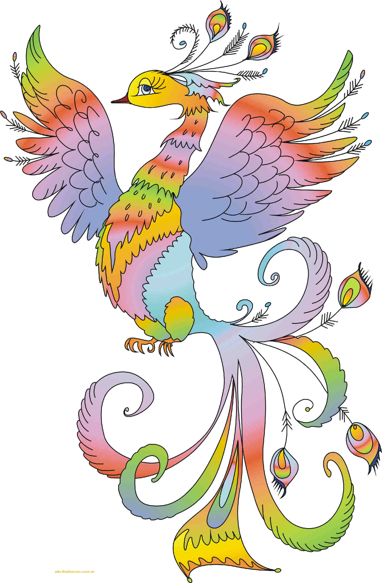 Material , dise�o, Ideas