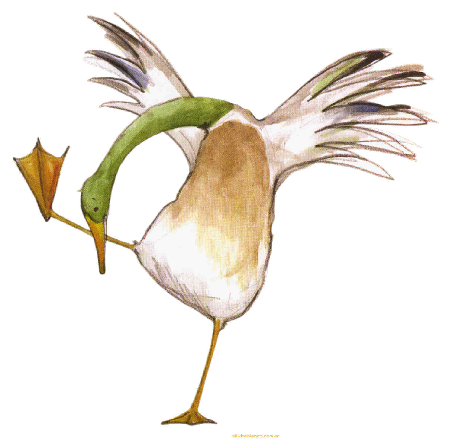 Material , dise�o, Ideas