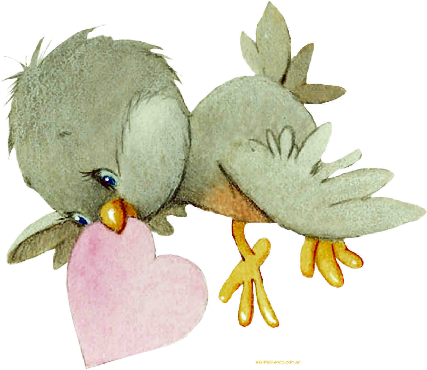 Material , dise�o, Ideas