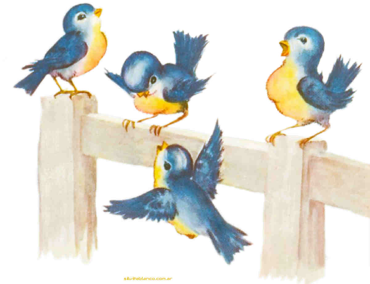 Material , dise�o, Ideas