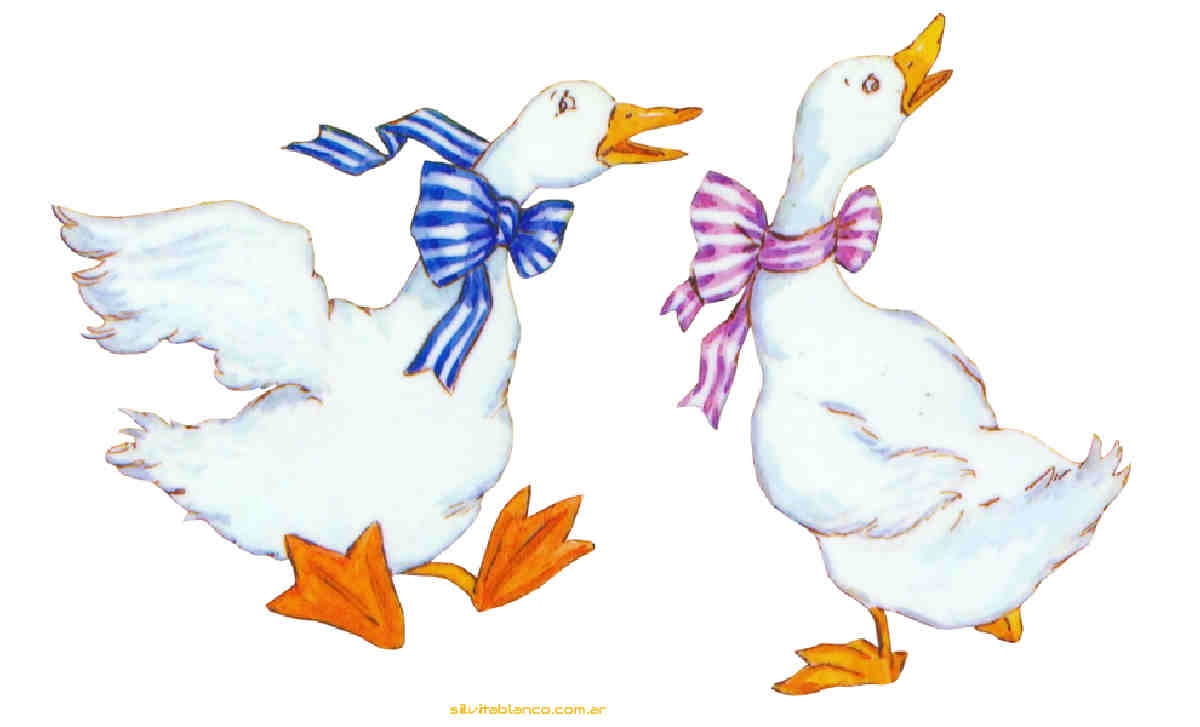 Material , dise�o, Ideas