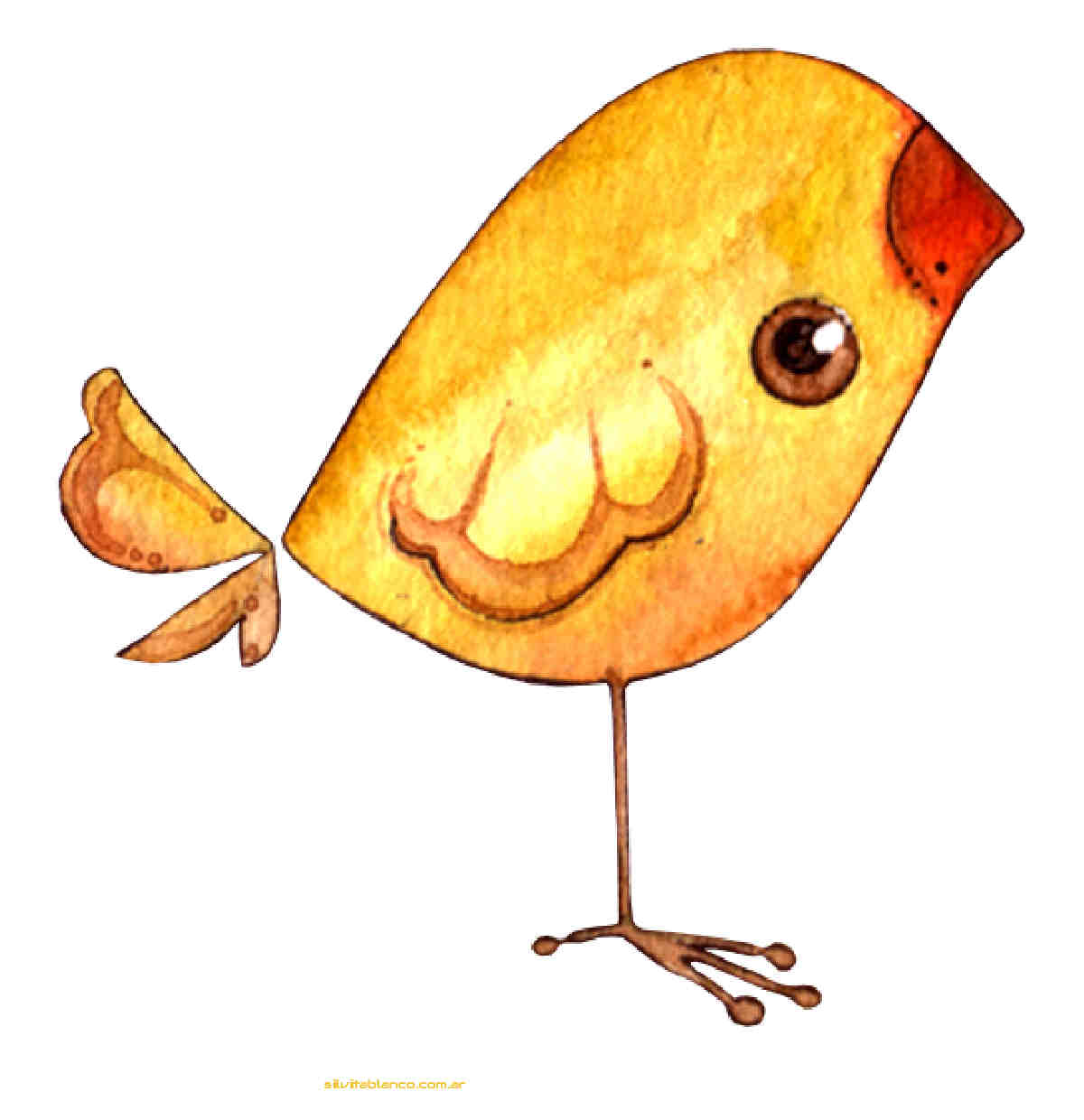 Material , dise�o, Ideas