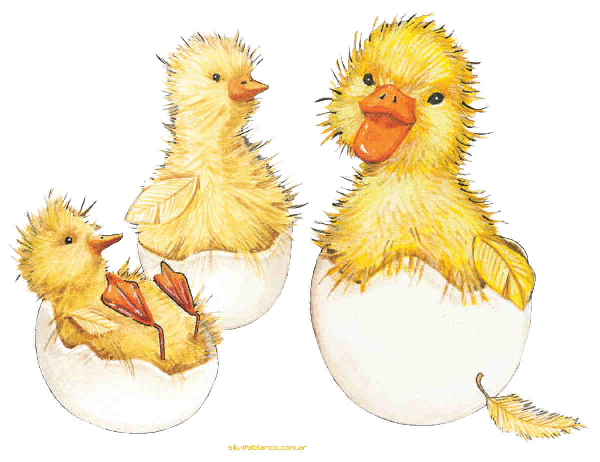 Material , dise�o, Ideas