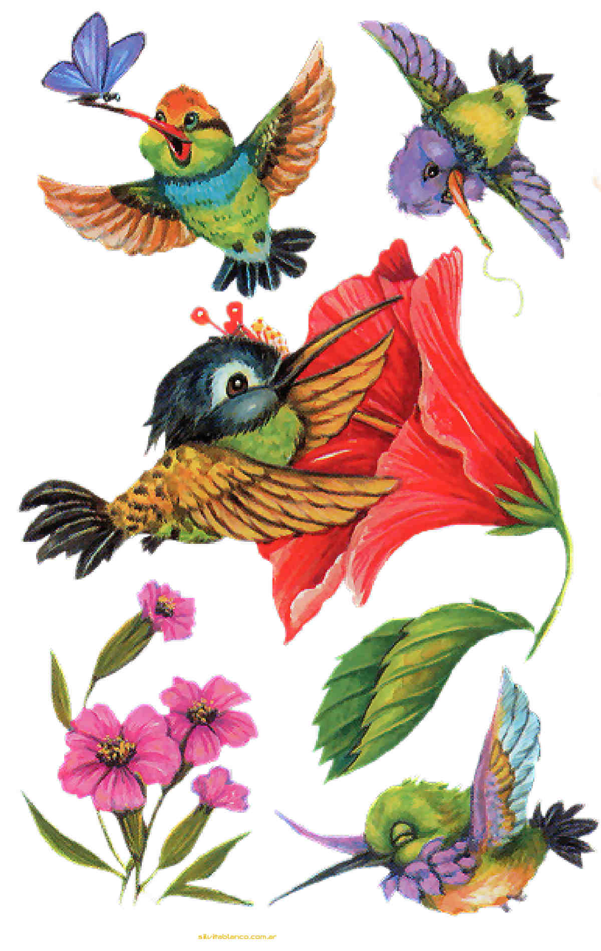 Material , dise�o, Ideas