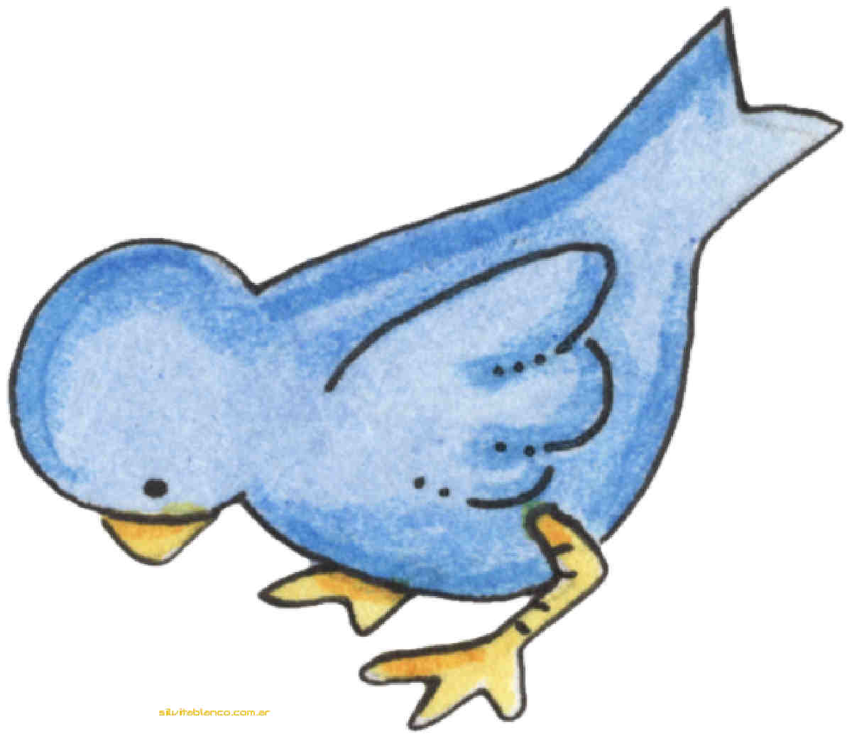 Material , dise�o, Ideas