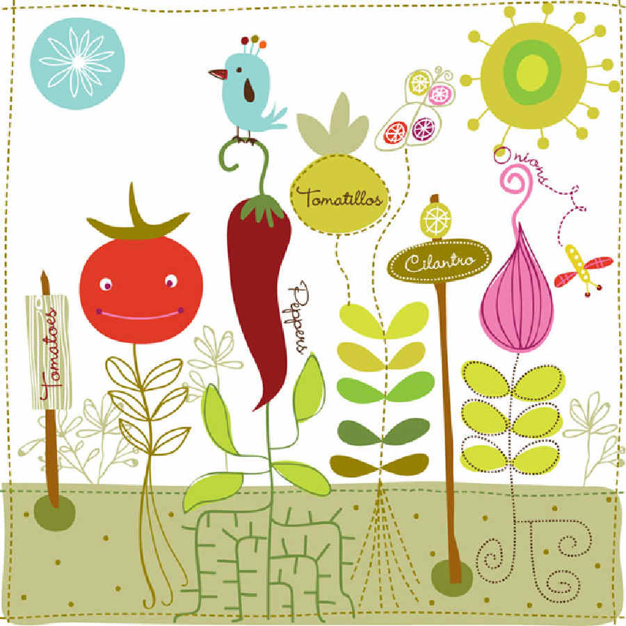 dibujos, ilustraciones infantiles Carolyn Gavin