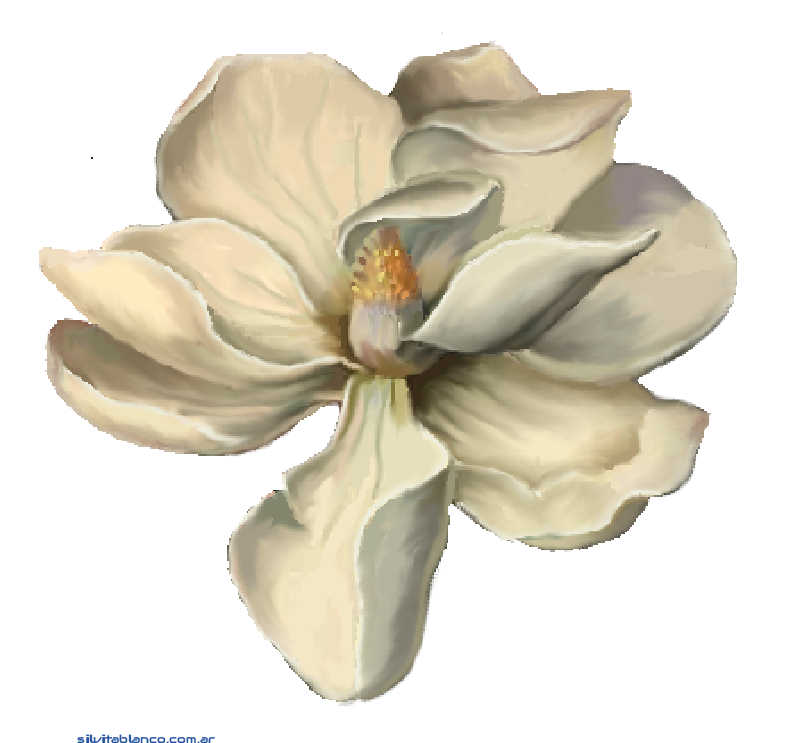 orquideas, rosas, lili flora, margaritas, claveles, adornos