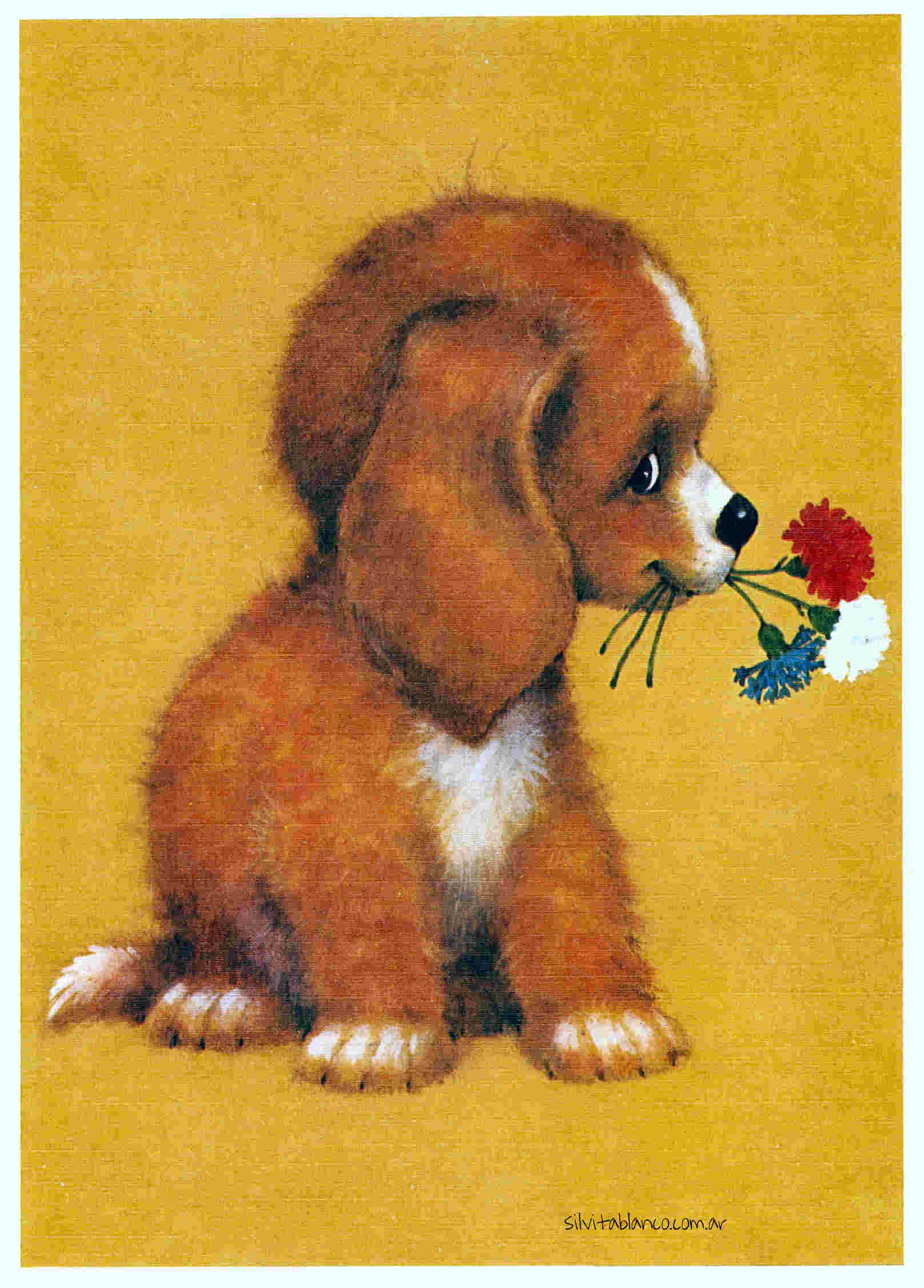  ilustraciones infantiles 