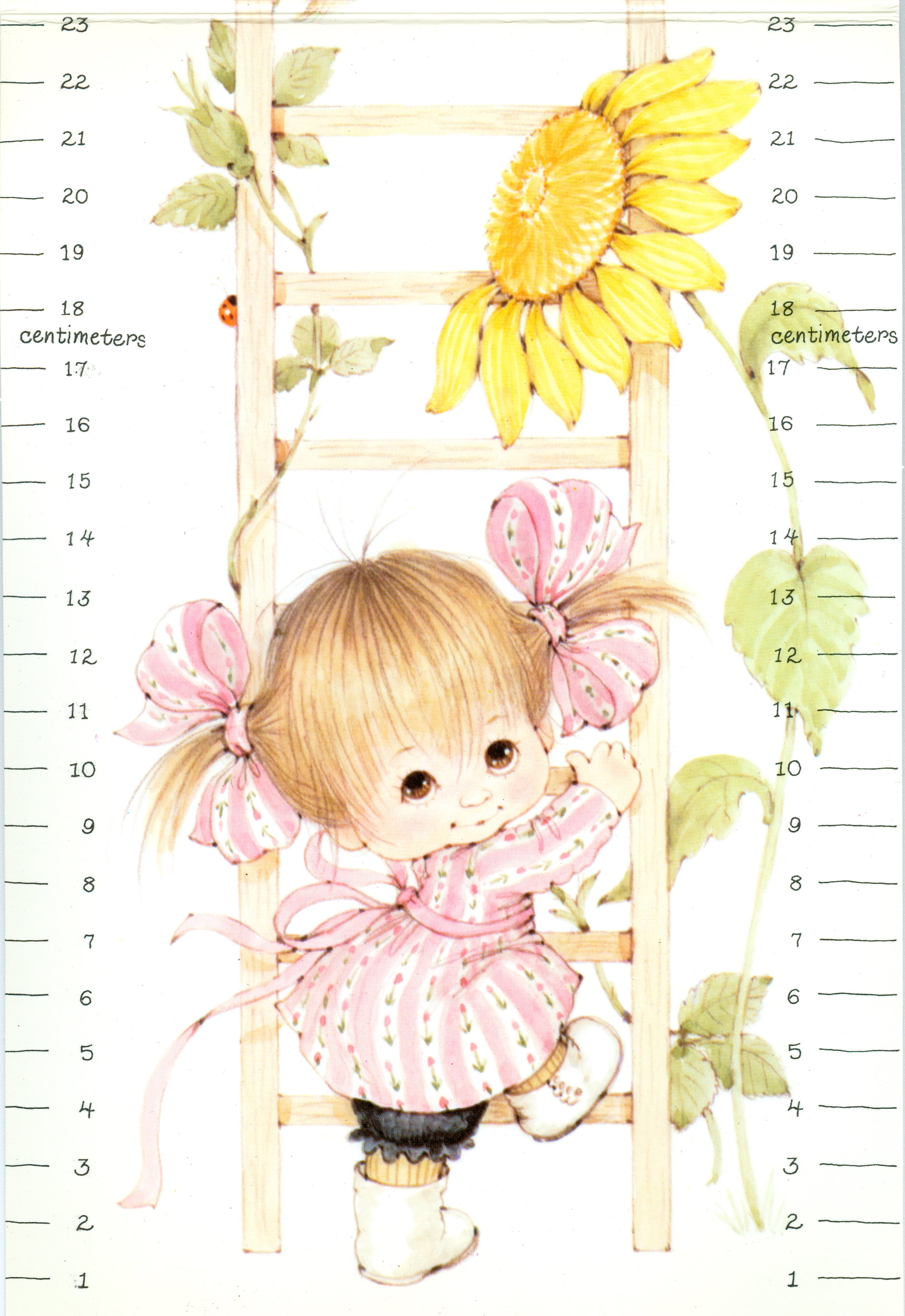 medidor beb�s