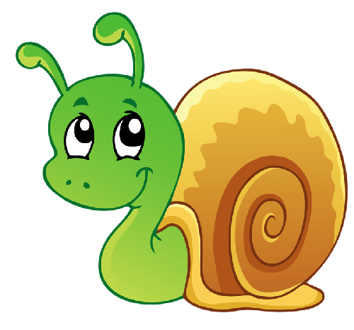 caracol