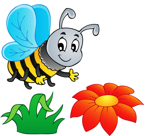 abejas