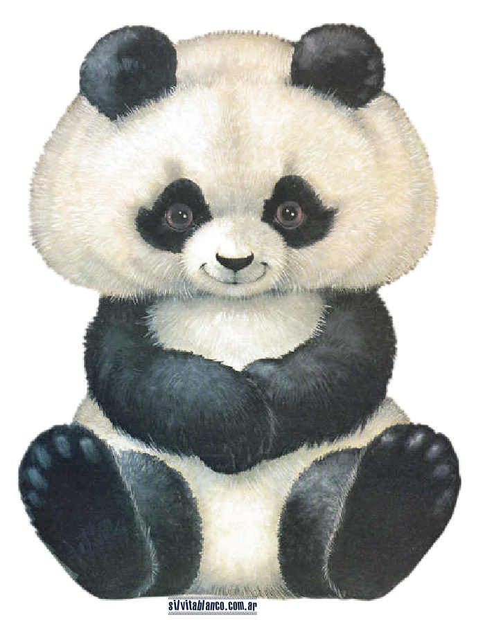 osito panda