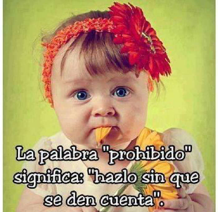 Frases Mujeres Carteles