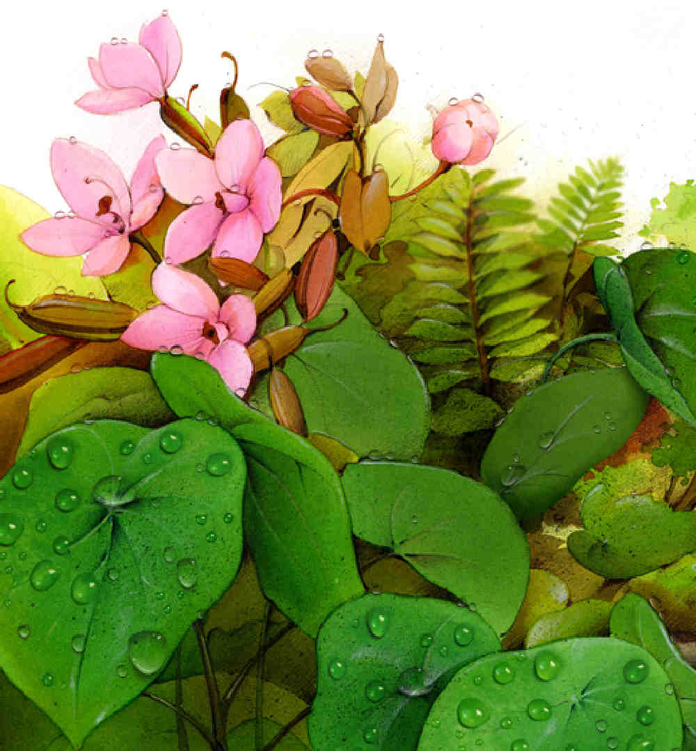 dibujos, ilustraciones infantiles Paola Migliari